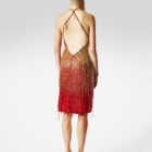 The Dancer Dress